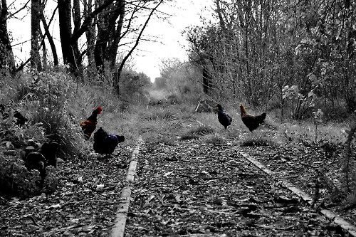 tumblr_msy1rg2srC1rhdqgdo1_500