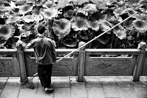 tumblr_n17mw5wG8b1s83quro1_500