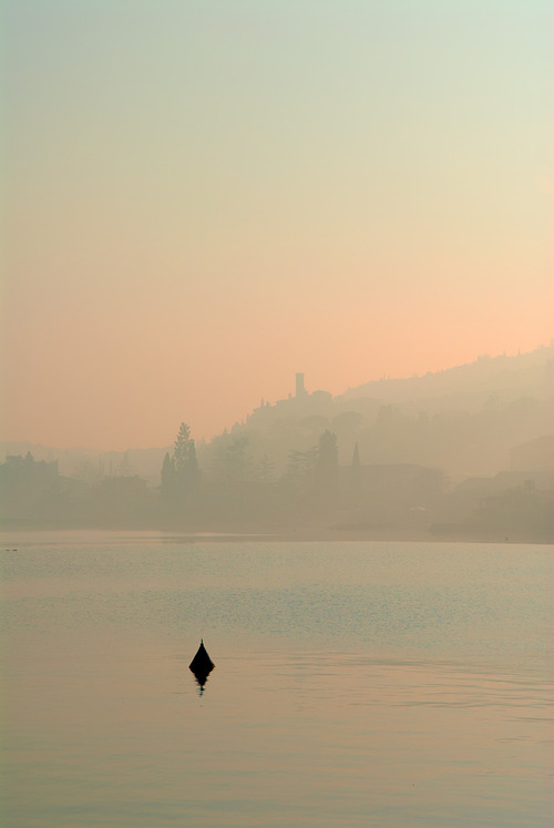 tumblr_n3g57kPDfa1qm0ax3o1_500