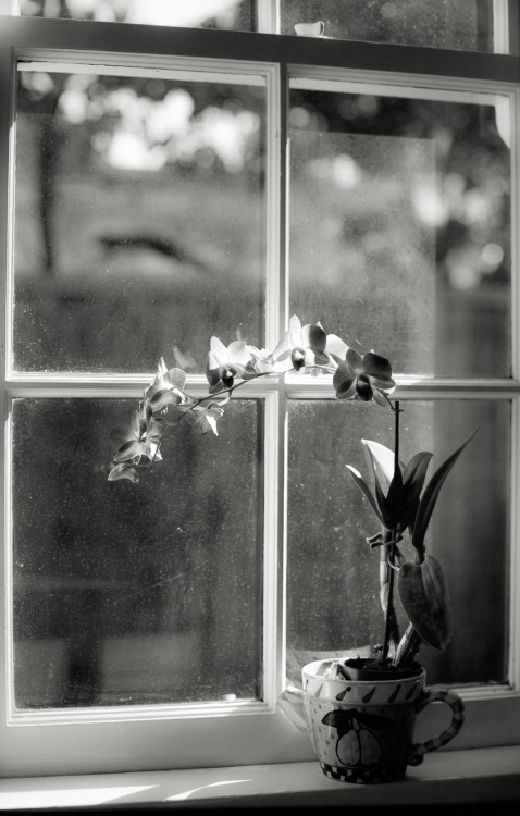 tumblr_n4tty7ez9X1s3tosqo1_r1_500