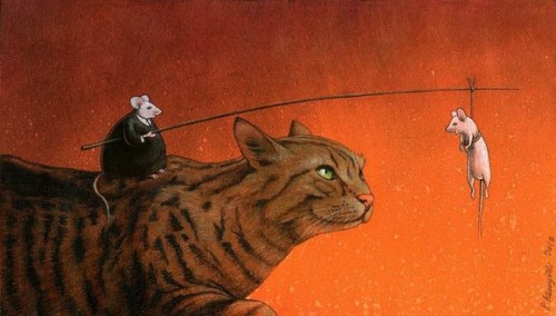 1782105_778429402185641_418958319_n-620x