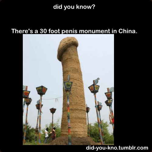 tumblr_lumvgfSLrZ1qkvbwso1_500