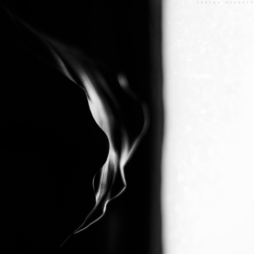 tumblr_n9qg14iurG1riq78fo1_500