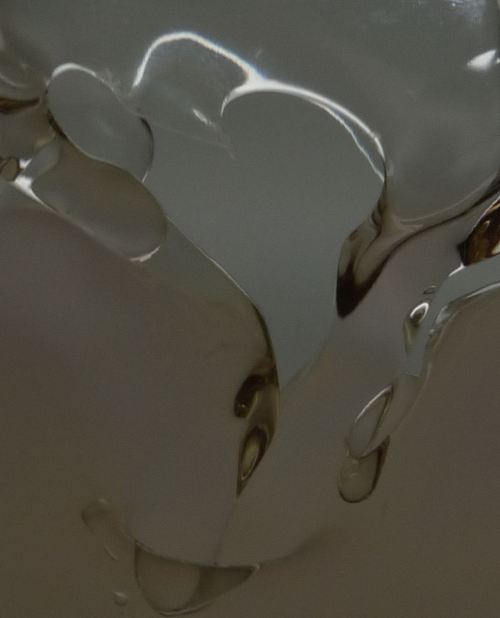 albatross-observations