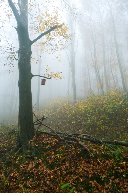 tumblr_ngbc21tuZJ1qzk5mzo1_1280