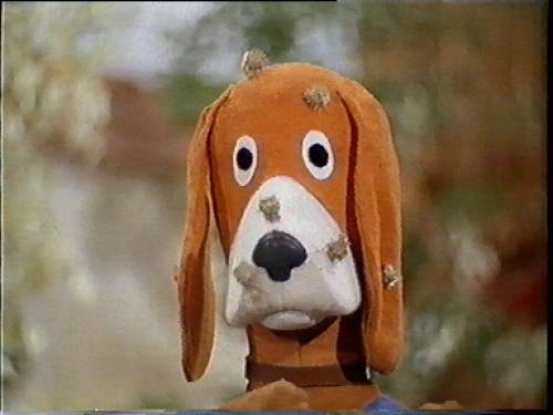 hector with thistles