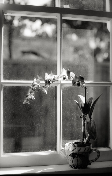 tumblr_n4tty7ez9x1s3tosqo1_r1_500