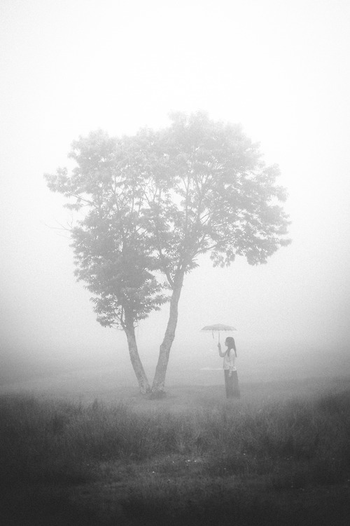 tumblr_n8bgexzDAe1rmusrdo1_500