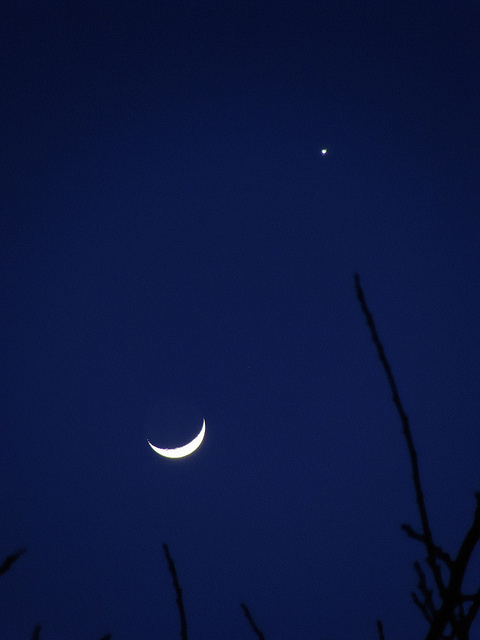 moon &amp; venus