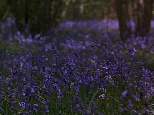 tumblr_n71960Qpvj1tcxm2ro1_1280