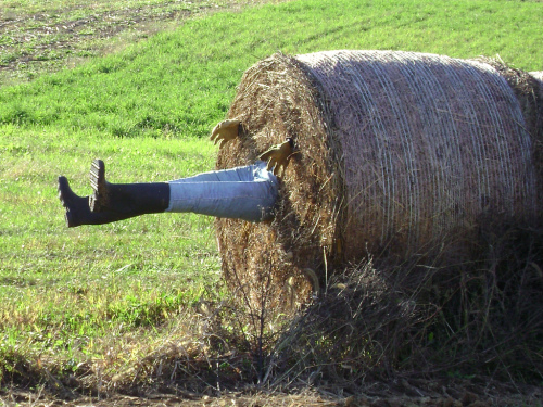 1798081403_3178e0d330_b