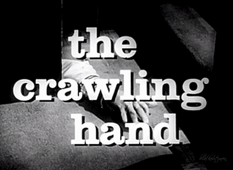 tumblr_o67xs1NItc1sn8m9wo1_500