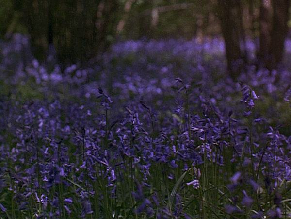 tumblr_n71960Qpvj1tcxm2ro1_1280